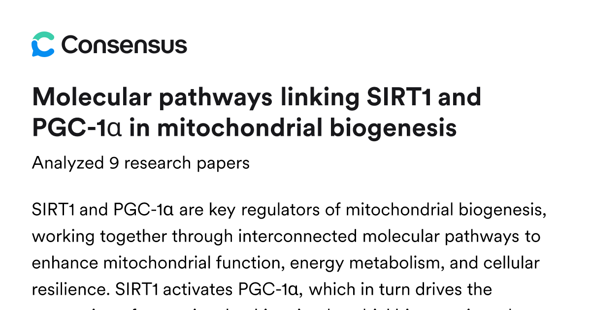 Molecular pathways linking SIRT1 and PGC-1α in mitochondrial biogenesis ...