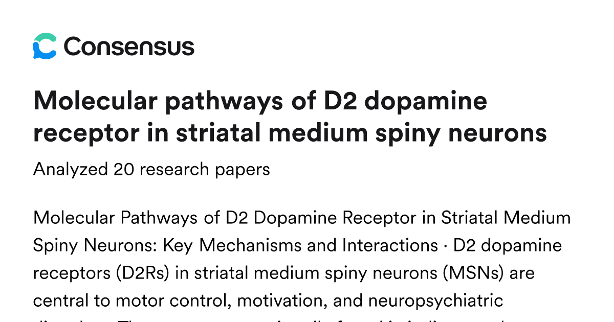 Molecular pathways of D2 dopamine receptor in striatal medium spiny ...