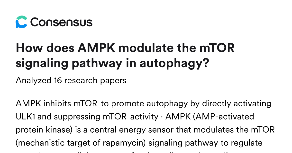 How does AMPK modulate the mTOR signaling pathway in autophagy? - Consensus