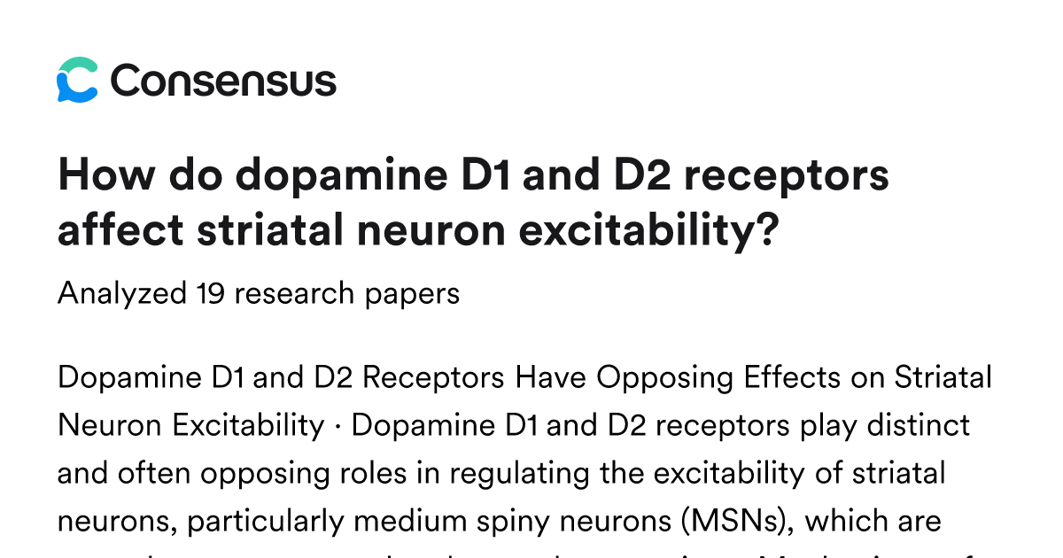 How do dopamine D1 and D2 receptors affect striatal neuron excitability ...