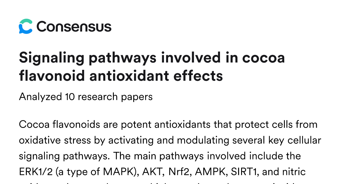 Signaling pathways involved in cocoa flavonoid antioxidant effects ...