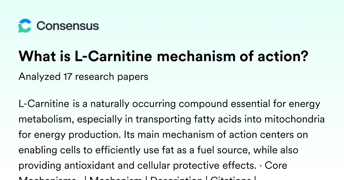 does l-carnitine use fat for energy Amazon.com: Cutler Nutrition Liquid Burner Supplement with Acetyl L-Carnitine & L-Carnitine Tartrate - Fat Burner Formula Optimal Absorption, & Muscle Support Nutrex Research L-Carnitine 3000 |